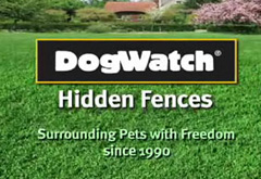Promotional Ad Video