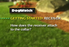 How does the receiver attach to the collar?
